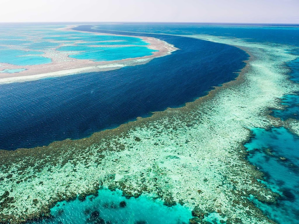 Great barrier reef