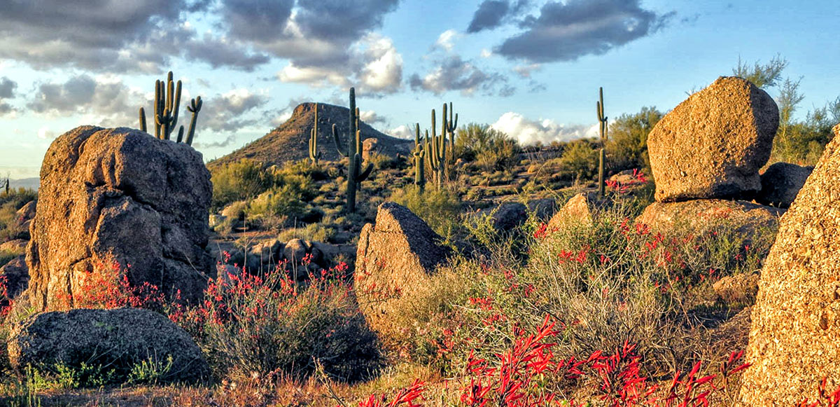 Scottsdale, Arizona: top 5 destinations for November