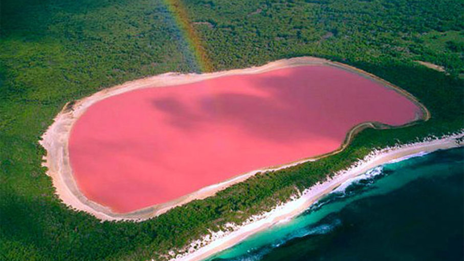 why pink lakes in Australia are pink