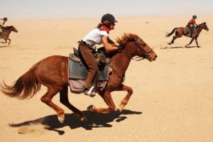 Desert, Namibia Horseback riding