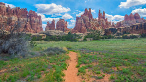 Chesler Park Loop and joint trail, Canyonlands national park