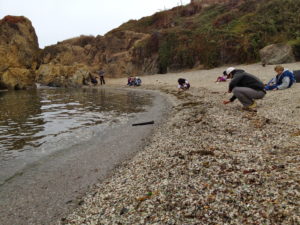 Collect sea glass from sea glass beach california