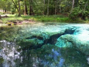 Gilchrist Blue Springs State Park, High Springs