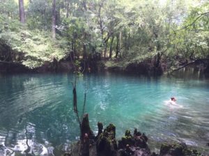 Otter Springs Florida Springs Camping