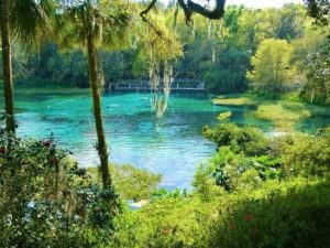 Rainbow Springs State Park, Dunnellon