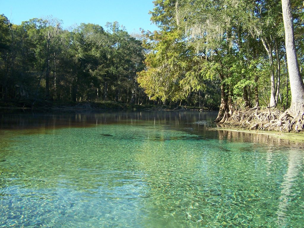 Florida Springs Camping Ultimate Guide for Best Springs