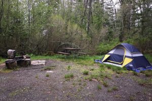 Seawall Campground Acadia National Park