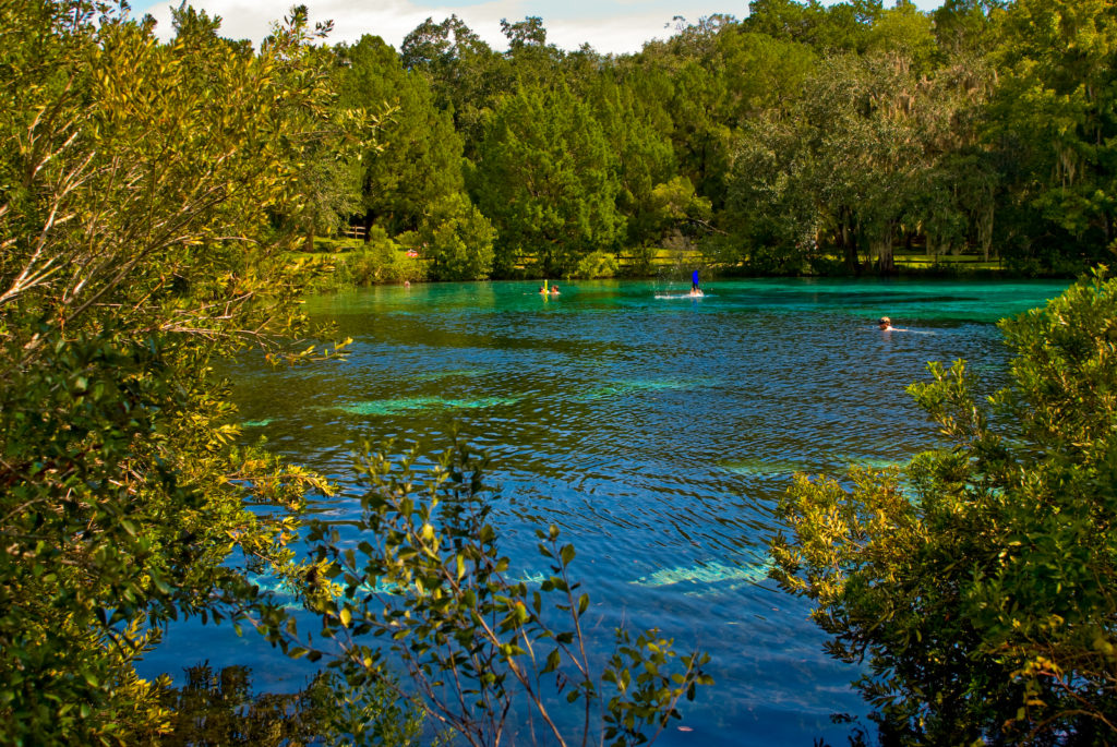 Florida Springs Camping: Ultimate Guide for Best Springs