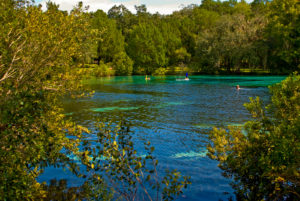 Silver Glen Springs, Ocala National Forest