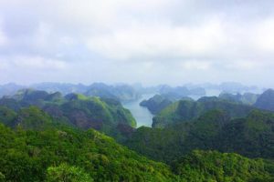 Visit and Hike Cat Ba National Park