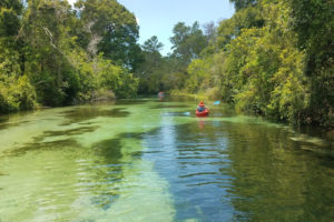 Weeki Waachi Springs State Park Florida Springs Camping