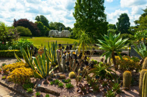 Birmingham Botanical Gardens