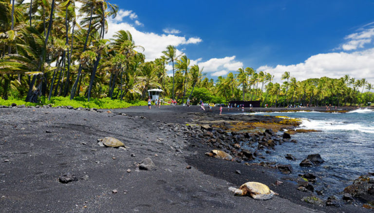 Black Sand Beaches On The Big Island Hawaii Traveladvo 2616