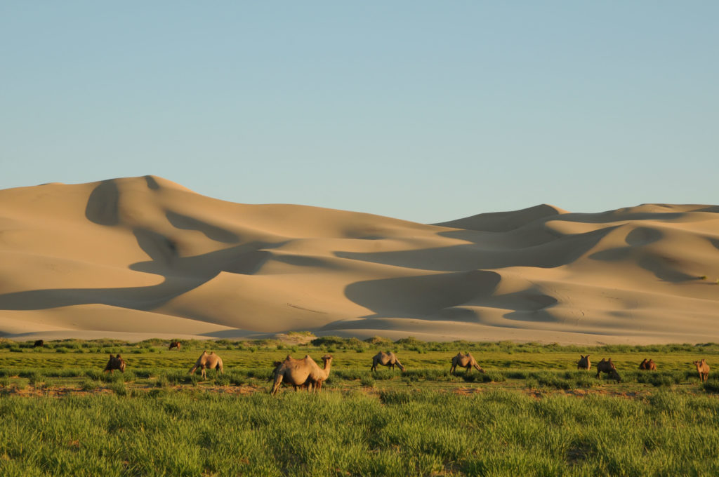 Khongor Sand Dune In Gobi Desert 1024x680 