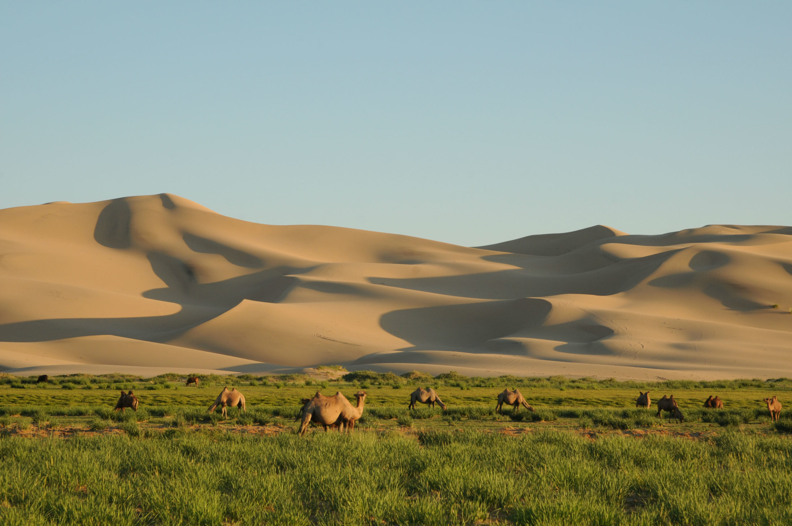 Gobi Desert in Asia: Everything You Need to Know