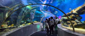 National Sea Life center