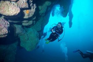 Plan diving sessions in the Great Blue Hole Belize