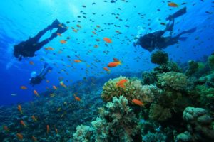 Scuba Diving in Santa Marta Colombia