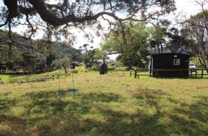 Camping in Great Barrier Island