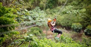 El Yunque Zipline