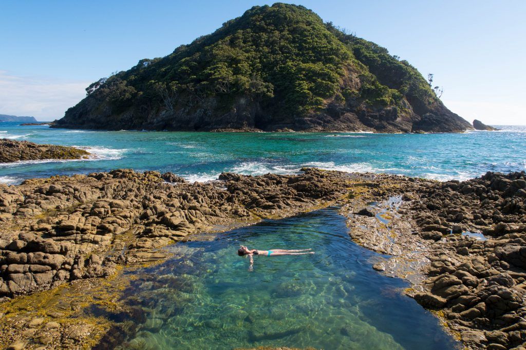 great barrier island tourist information