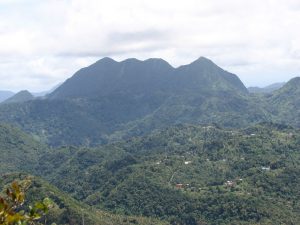Hike Mount Gimie Things to do in St Lucia