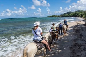 Horseback Riding in St Croix Virgin Islands