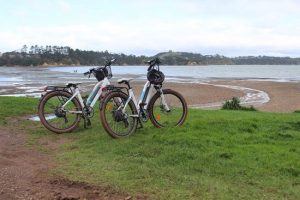 How do you get around Waiheke Island