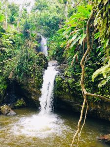 Juan Diego Falls Puerto Rico Rainforest