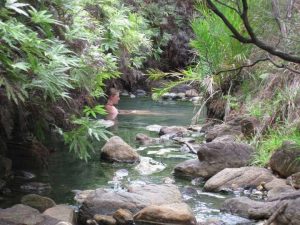 Kaitoke hot springs in New Zealand