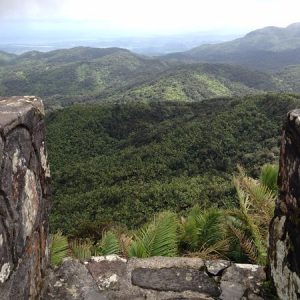 Mt. Britton Tower Puerto Rico Rainforest