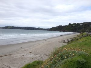 Onetangi Beach Waiheke Island in New Zealand