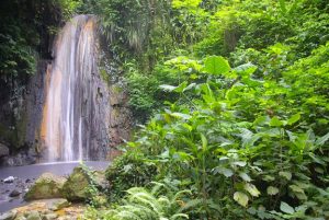Soufriere State, Diamond Falls in Diamond Botanical Garden