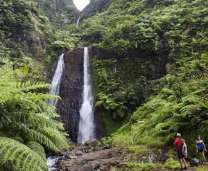 Visit the Waterfalls in Tahiti Island
