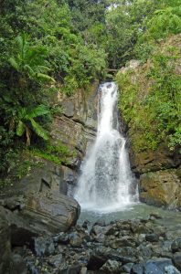 Waterfalls in El Yunque La Mina