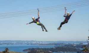 Zip Line Adventure in Waiheke Island