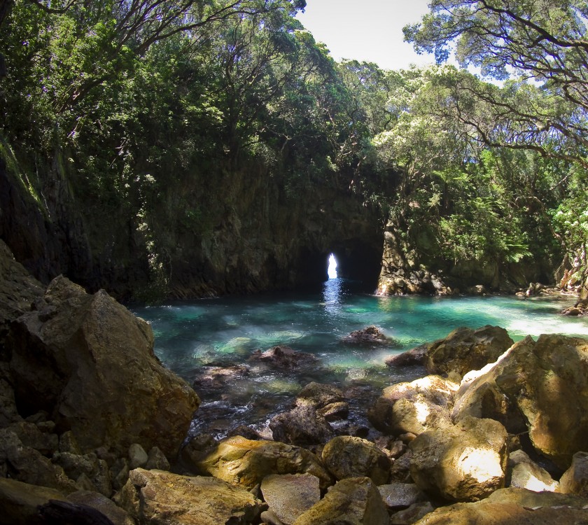 Donut Island or Whenuakura Island.