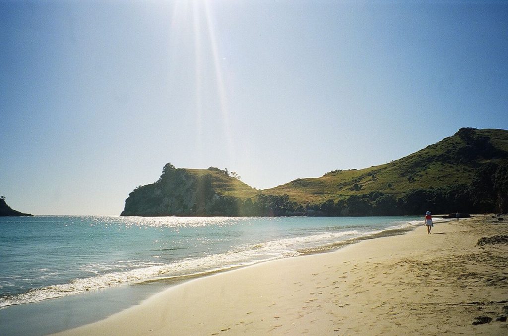 Hahei Beach North Island road trip