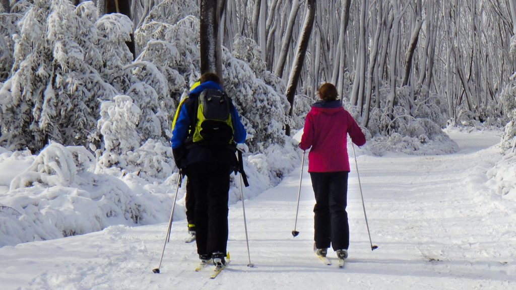 Lake Mountain ski