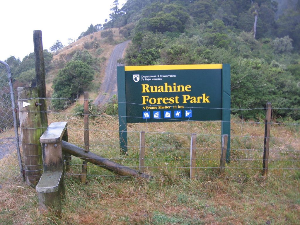 Ruahine Forest Park in North Island NZ