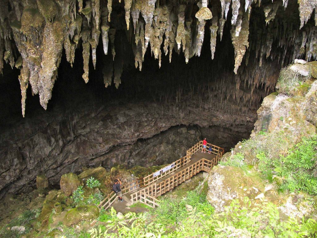 Visit Caves in Golden Bay