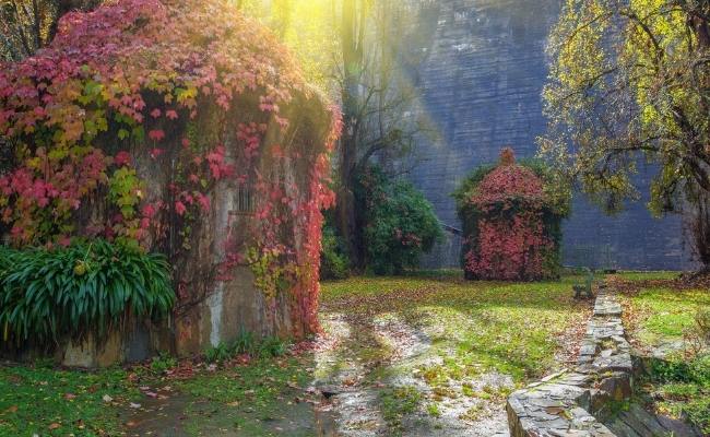 Maroondah Reservoir Park Australia