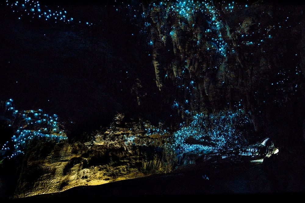 Waitomo Glowworm Caves in North Island