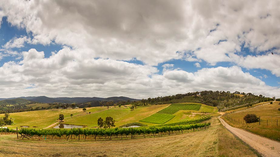 Yarra Valley Weather