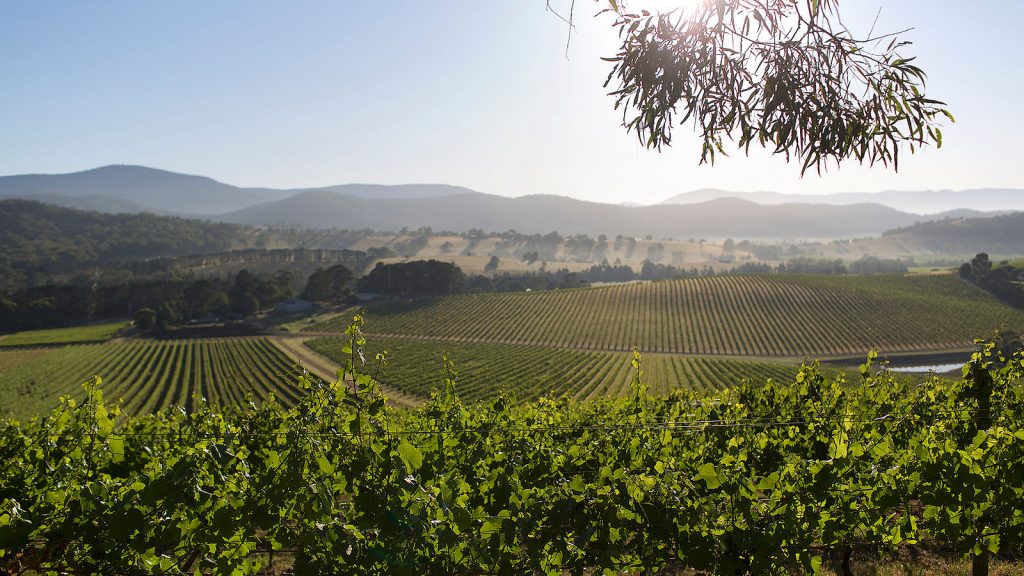 Yarra Valley Wineries