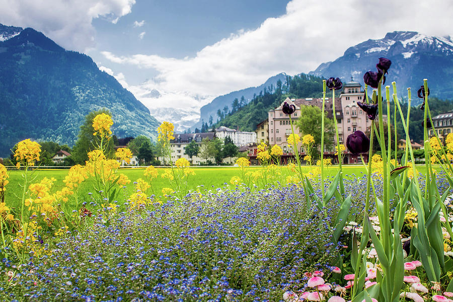 Interlaken in Switzerland Spring