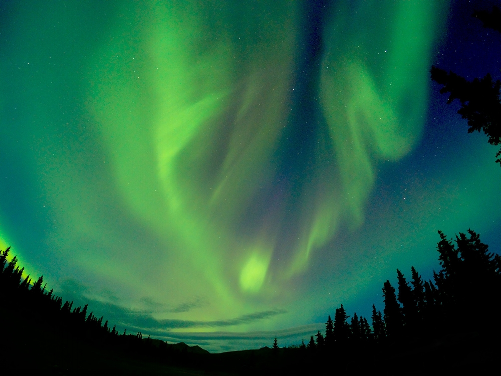 Northern Lights in Denali National Park in Alaska summer bucket list 