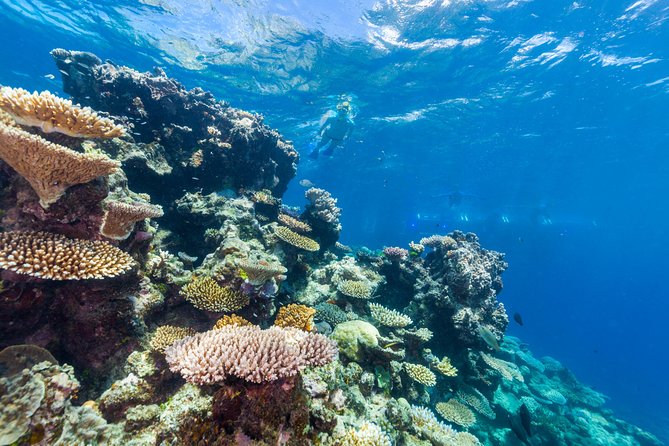 Sail and snorkeling in Great Barrier Reef Summer Bucket list