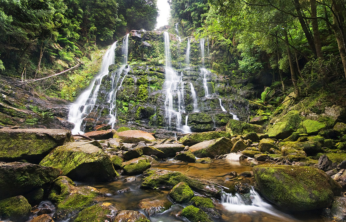 Tasmania Australia: The Ultimate Travel Guide to Tasmania