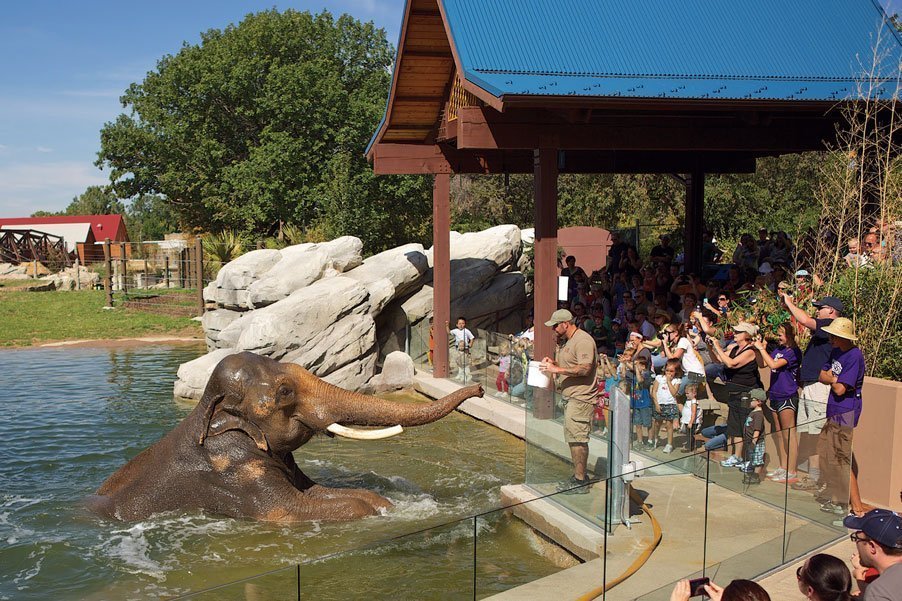 Visit The Denver Zoo Things to do in Denver